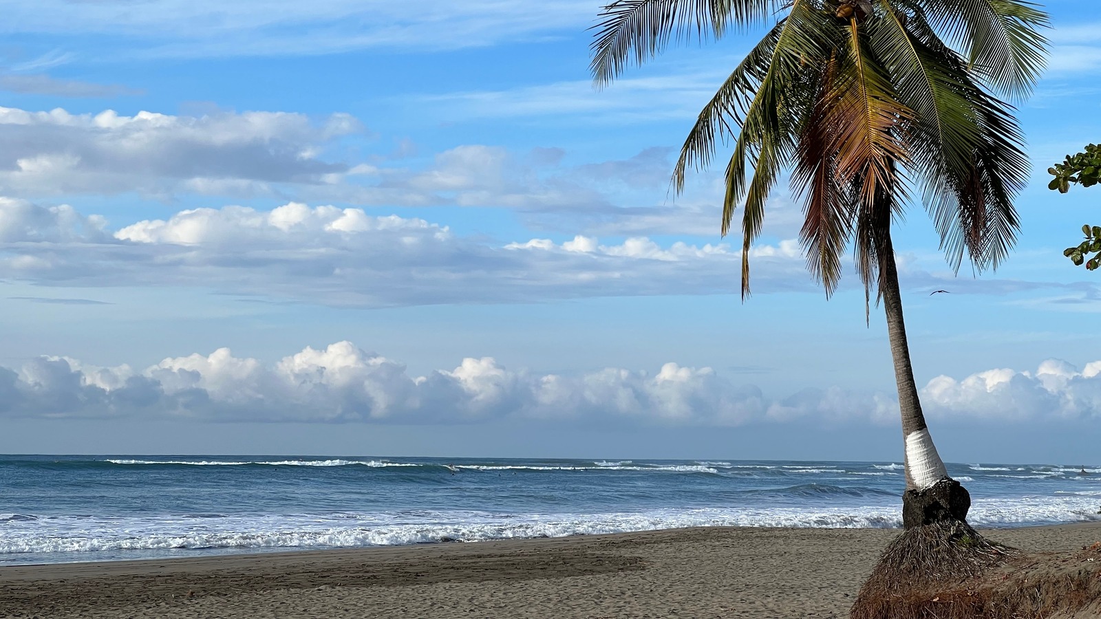 This Calming Costa Rican Beach Is A Total Surfer S Paradise Off