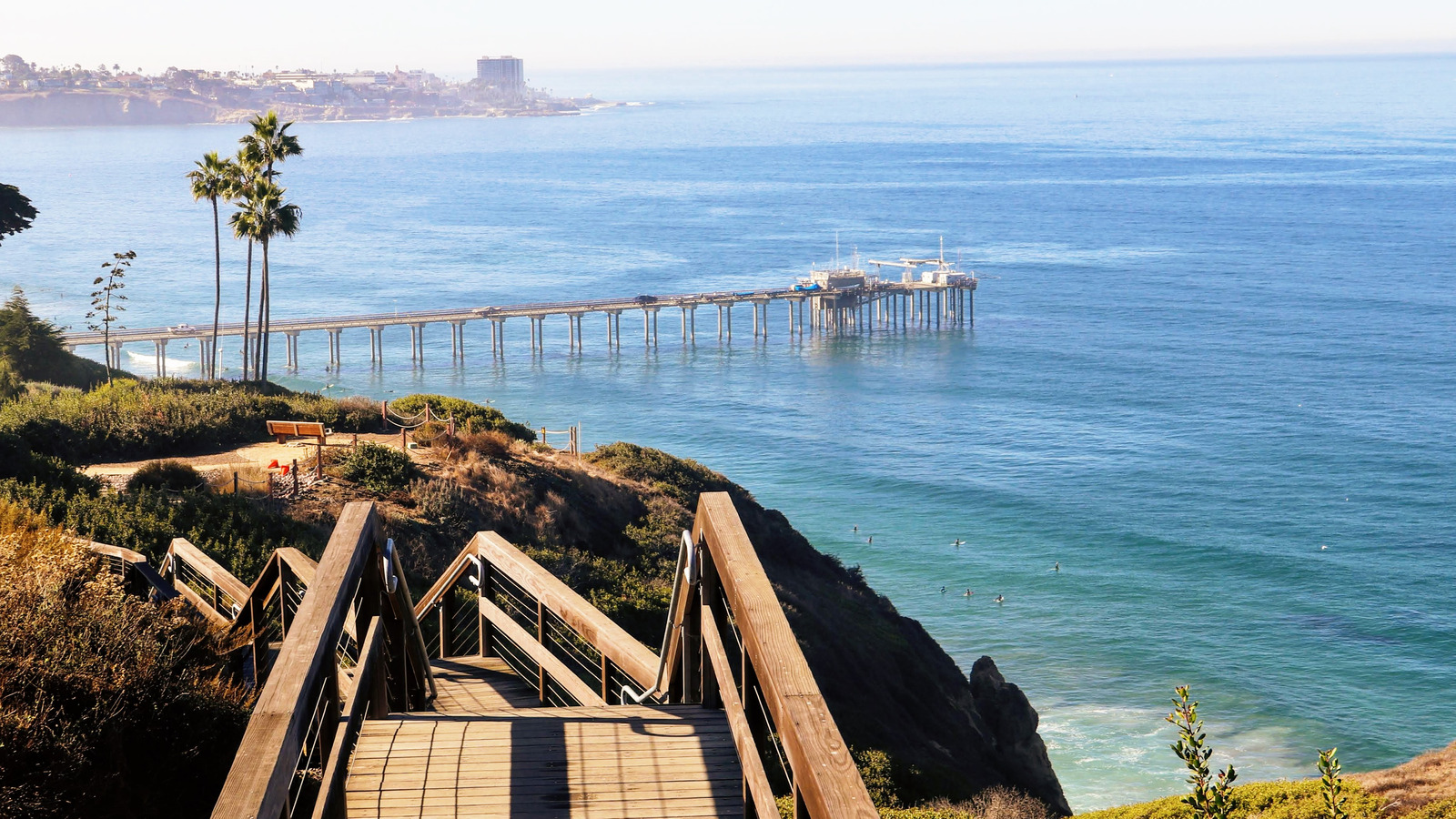 What To Know About The Scripps Coastal Meander Trail In California