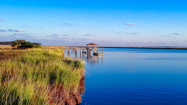 The beach at Daufuskie Island, South Carolina