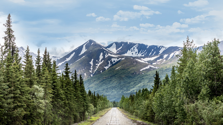 Traintrack to Denali Mountain