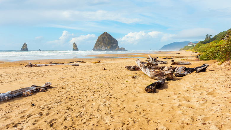 Driftwood and Haystack Rock