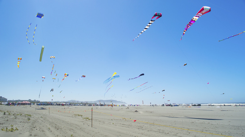 Kites flying at Long Beach