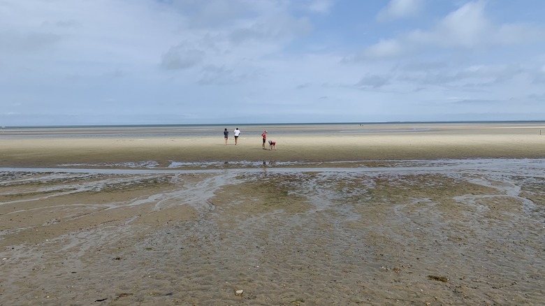 Tidal Flats, Crosby Landing Beach