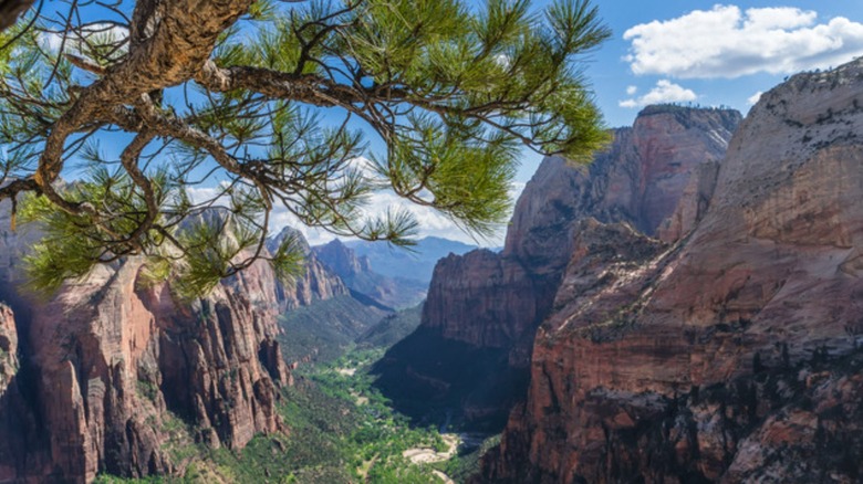 Angel's Landing Zion