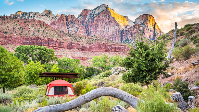 Zion Camping