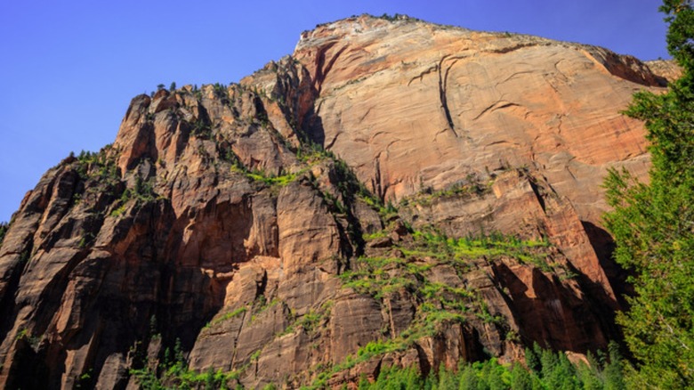 Lady Mountain at Zion