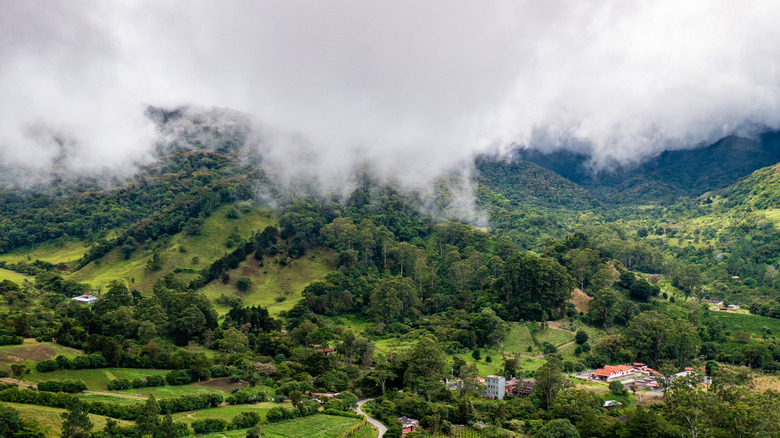 Lush, green hills in Panama