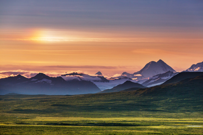 denali national park reasons to visit