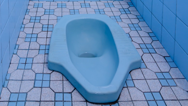 Blue squat toilet