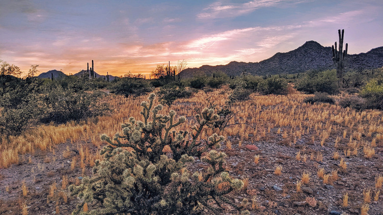 San Tan Mountain Regional Park 