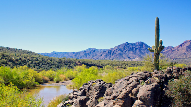 Verde River Area