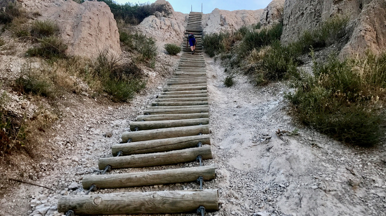 Notch Trail ladder