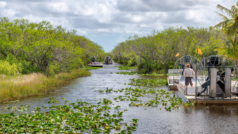 Visitors exploring Everglades via airboat