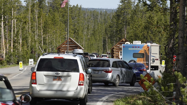 Yellowstone National Park traffic