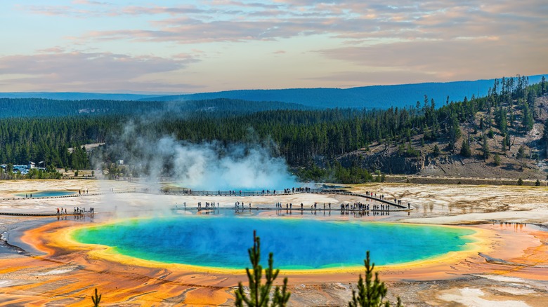 Grand Prismatic Spring at Yellowstone