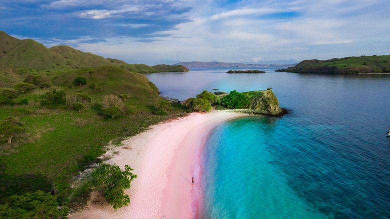 pink sand beach of Bermuda
