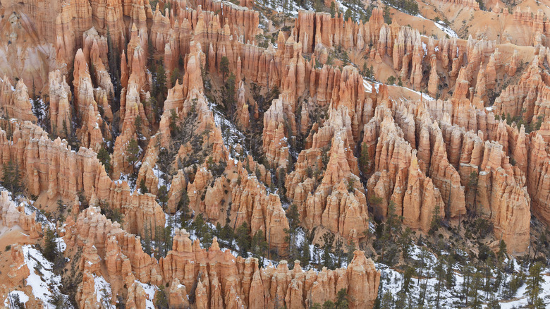 Rugged landscape in the wild