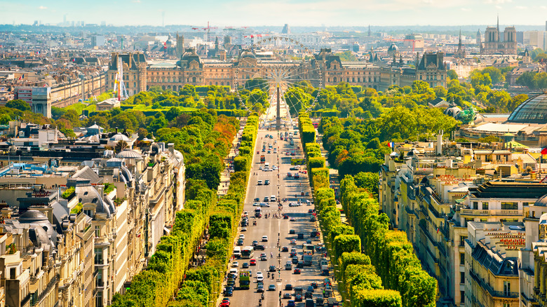 overview of a busy Paris boulevard