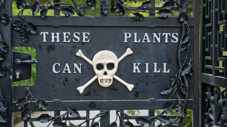 "These plants can kill" sign
