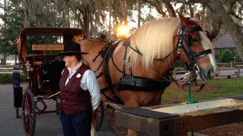 A horse-drawn carriage at Fort Wilderness