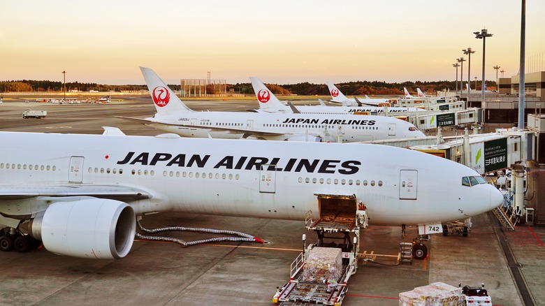 Japan Airlines planes at airport