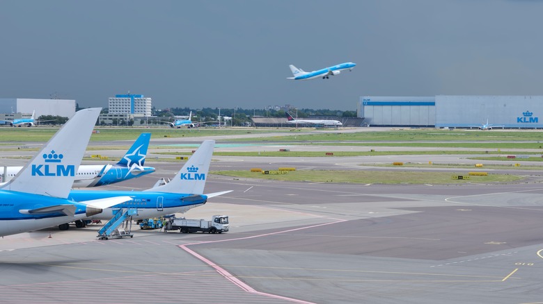 KLM airline infrastructure at airport