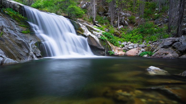 Carlon Falls, California pool