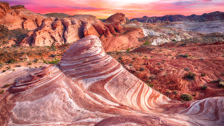 Valley of Fire's marbled sandstone