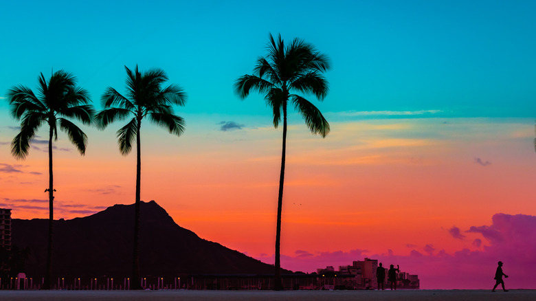 Palm trees at sunrise in Honolulu, Hawaii.