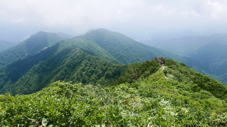 Mount Tanigawa against a misty sky.