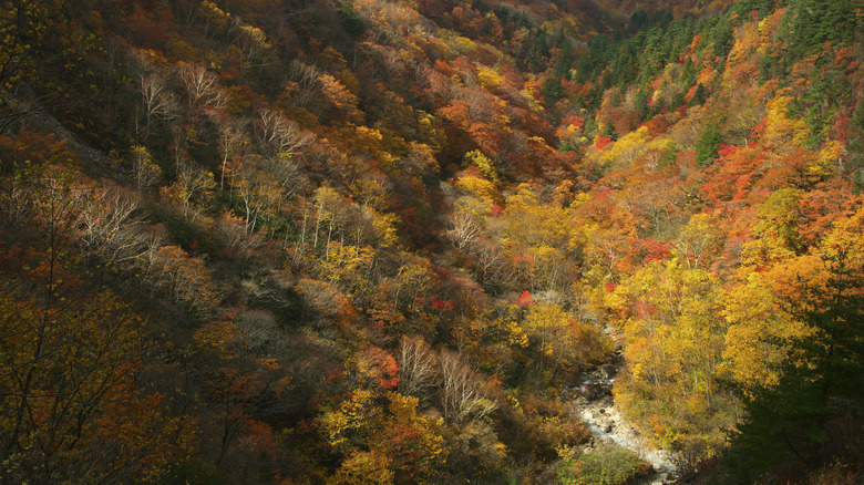 Numajiri mountains