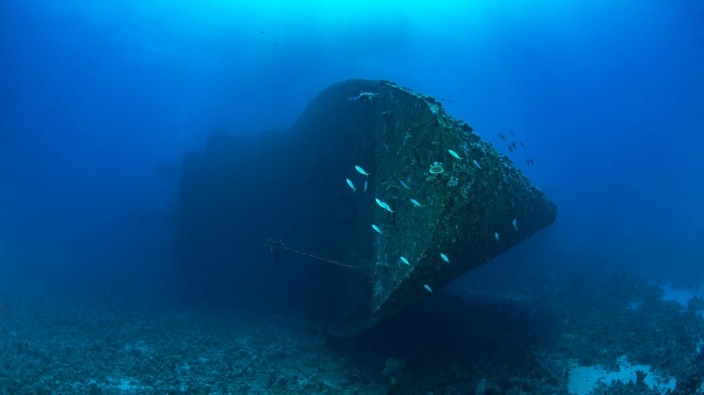 salem express in the red sea