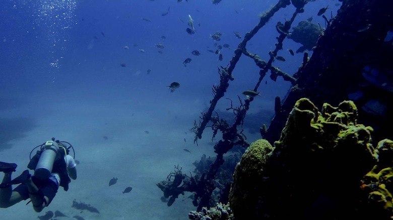 Snorkeler by shipwreck