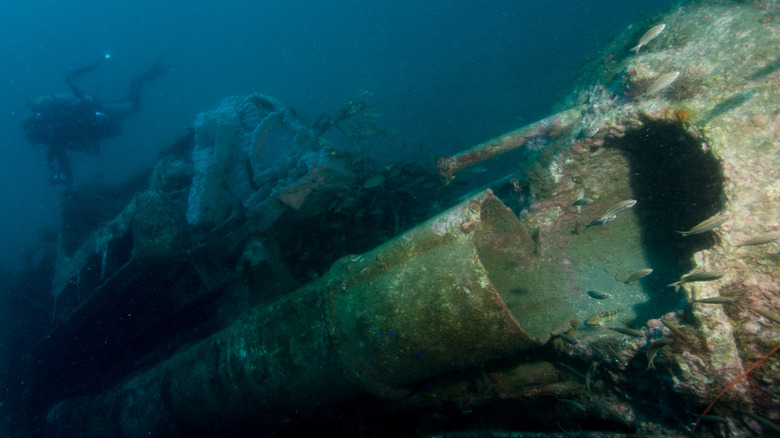 Diver by sunken shipwreck