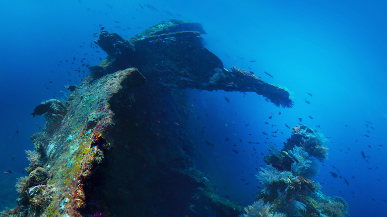 Sunken ship underwater