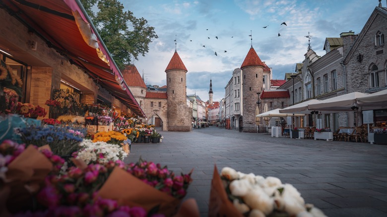 View of Tallinn Old Town gates