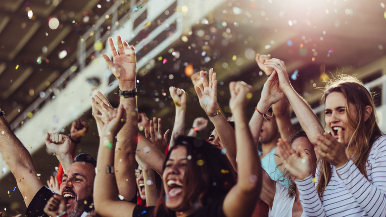 Cheering crowd in a stadium