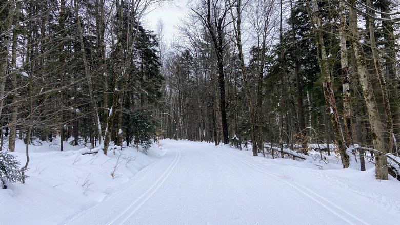 Trails at Trapp Family Lodge