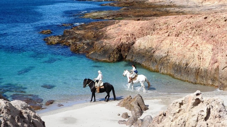 Horse riding beach