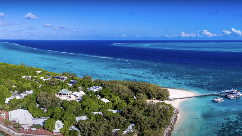 aerial view of Heron Island