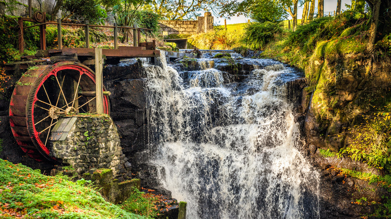 Glenariff Forest Park