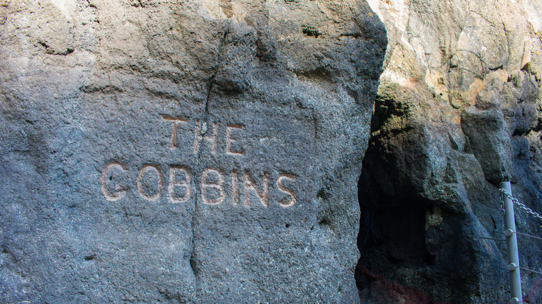 The Gobbins