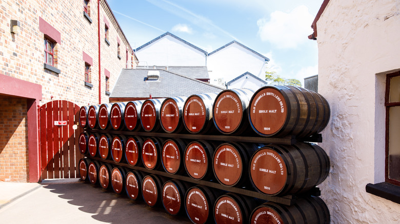 The Old Bushmills Distillery