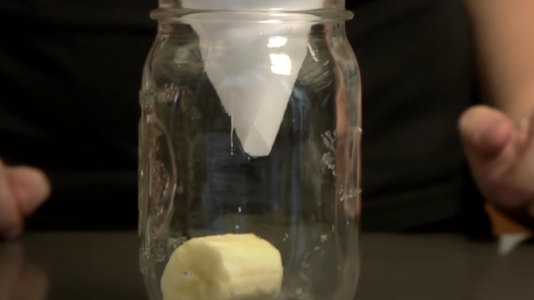 A fruit fly jar trap