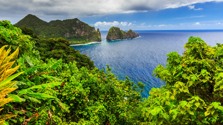 Tropical plants near water and cliffs