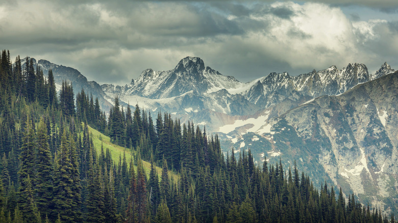 Snow mountains, pine trees, clouds