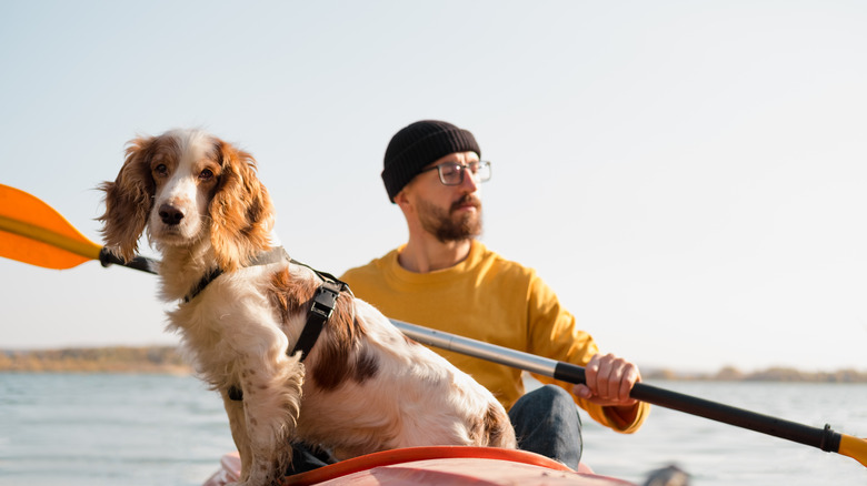 Dog kayaking with person