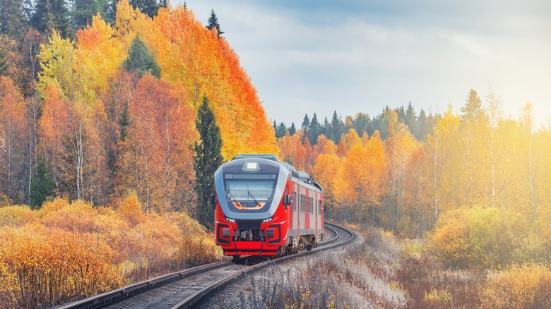 train in autumn colors