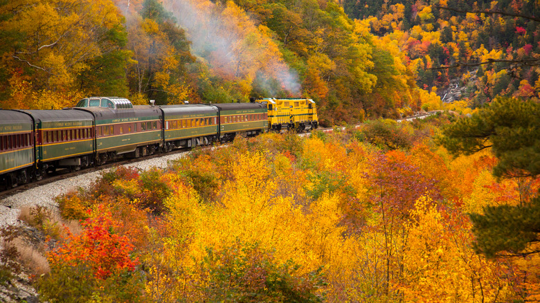 train and fall foliage