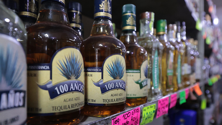 Tequila bottles in Mexico